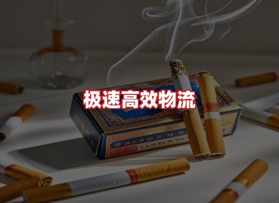 专业团队